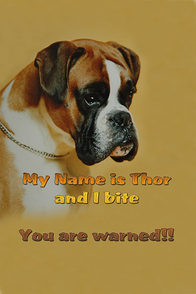 A Custom Plaque (using your photo) to keep away strangers!